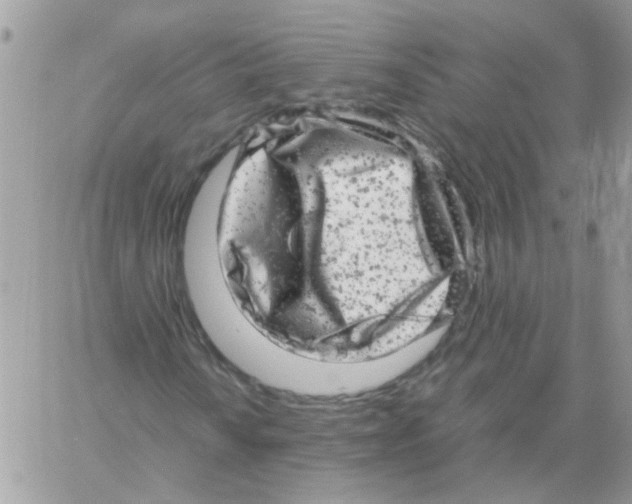 X0000061761010200512302258