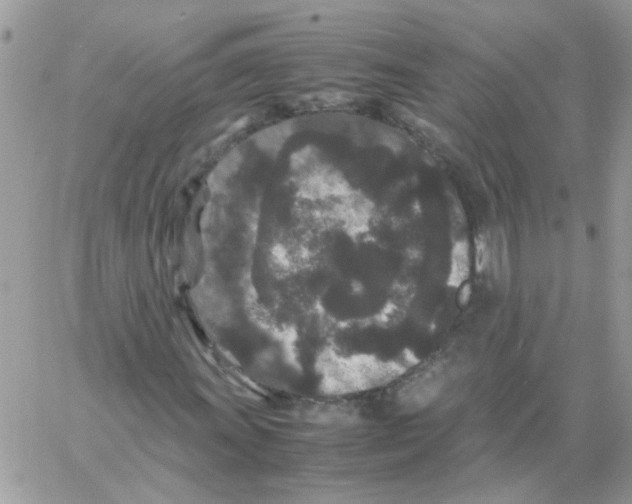 X0000061761011200512302258