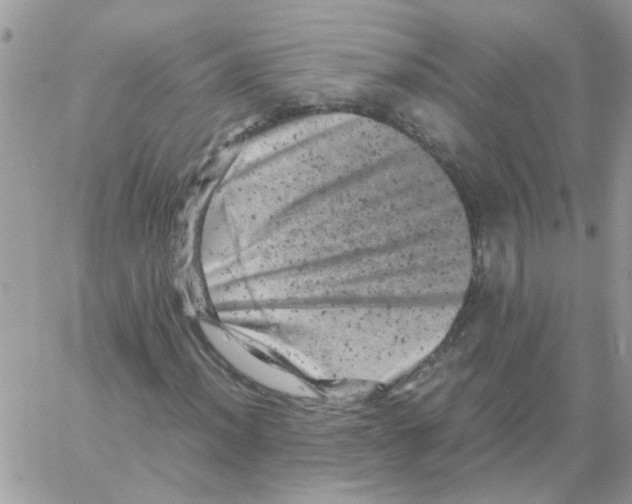 X0000061761012200512302258