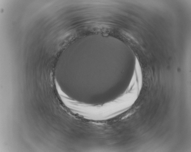 X0000061761013200512302258