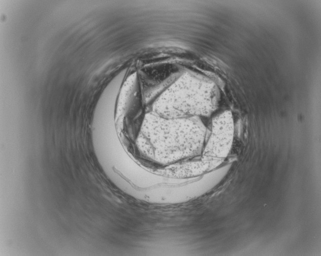 X0000061761014200512302258