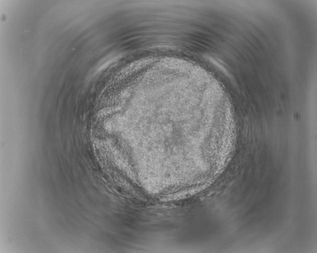 X0000061761015200512302258