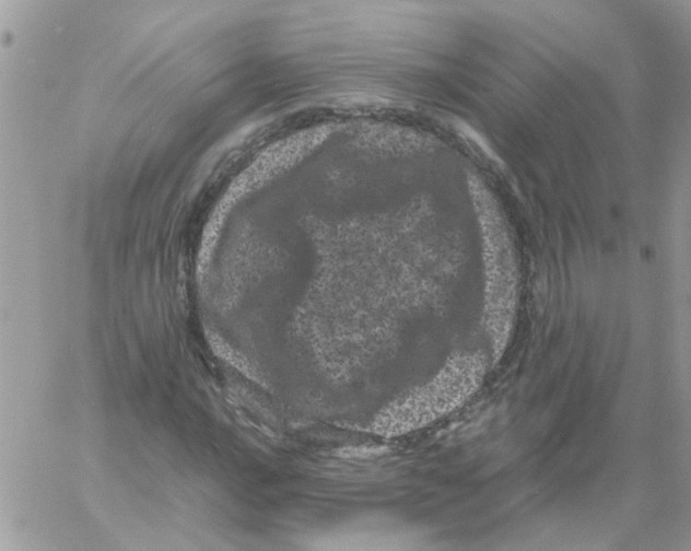 X0000061761016200512302258