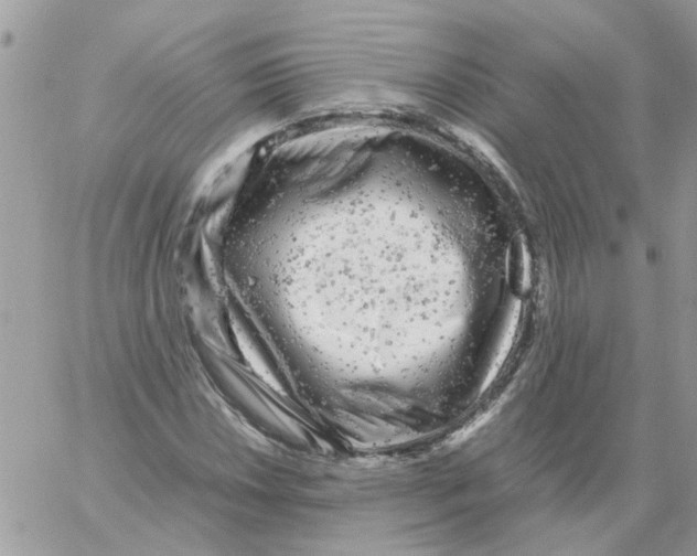 X0000061761018200512302258