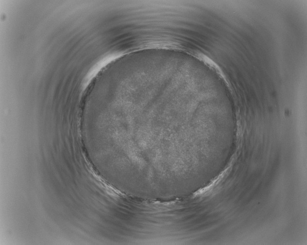 X0000061761019200512302258