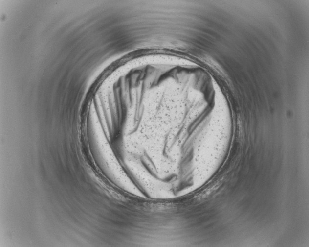 X0000061761020200512302258