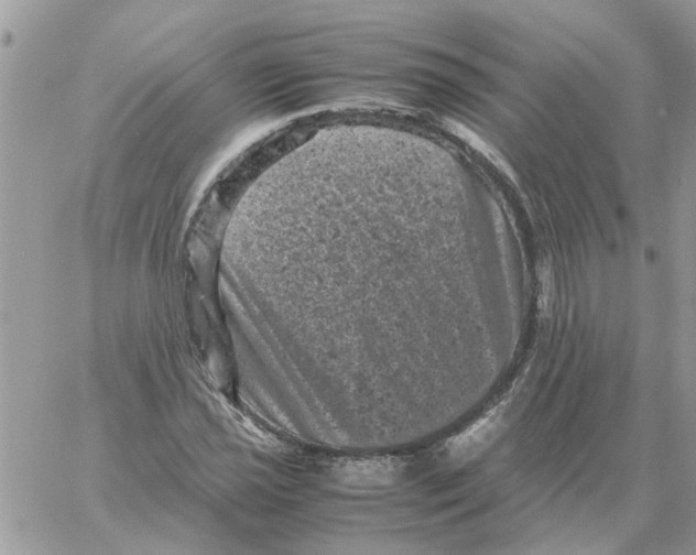 X0000061761021200512302258