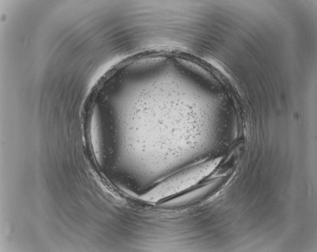 X0000061761022200512302258