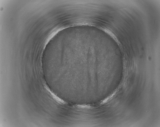 X0000061761023200512302258