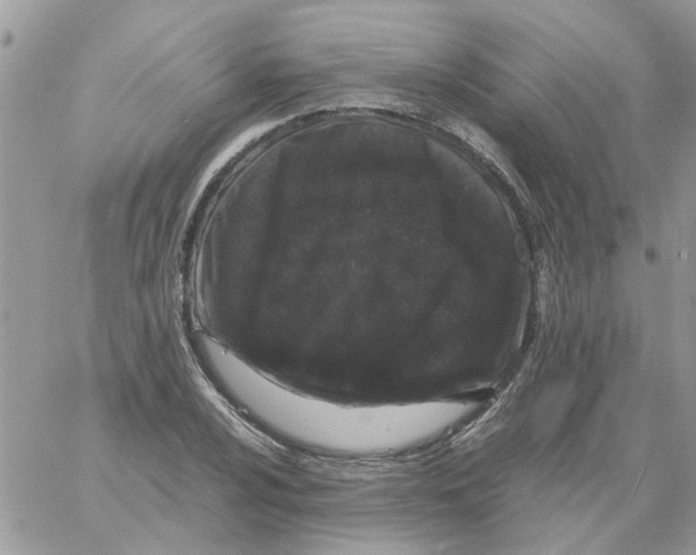 X0000061761024200512302258