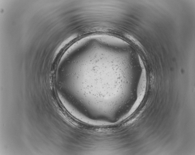 X0000061761026200512302258