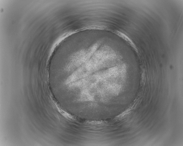 X0000061761027200512302258