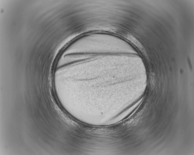 X0000061761028200512302258