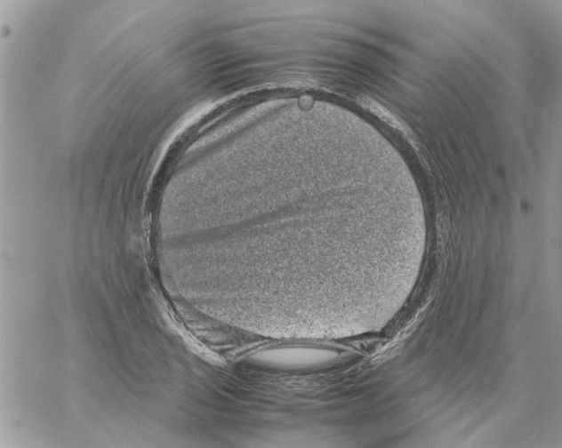 X0000061761029200512302258