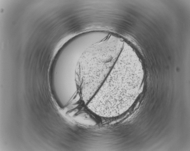 X0000061761030200512302258