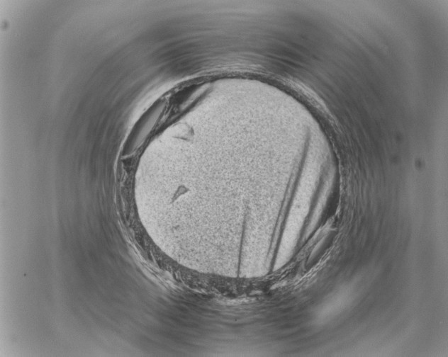 X0000061761031200512302258