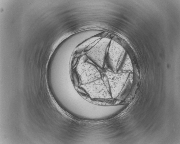 X0000061761034200512302258