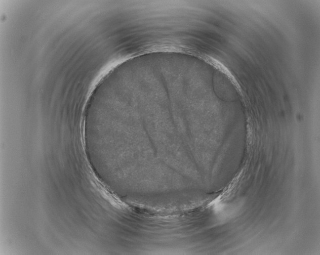 X0000061761035200512302258