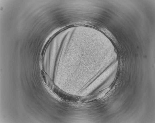 X0000061761036200512302258