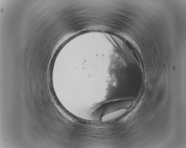 X0000061761037200512302258