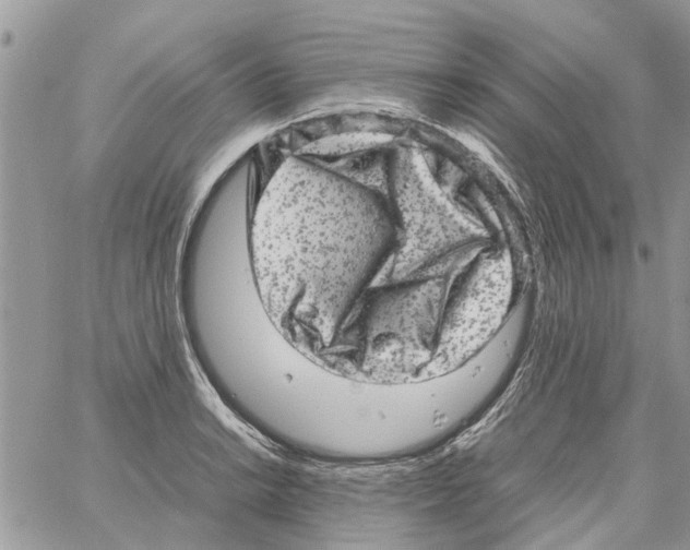 X0000061761038200512302258