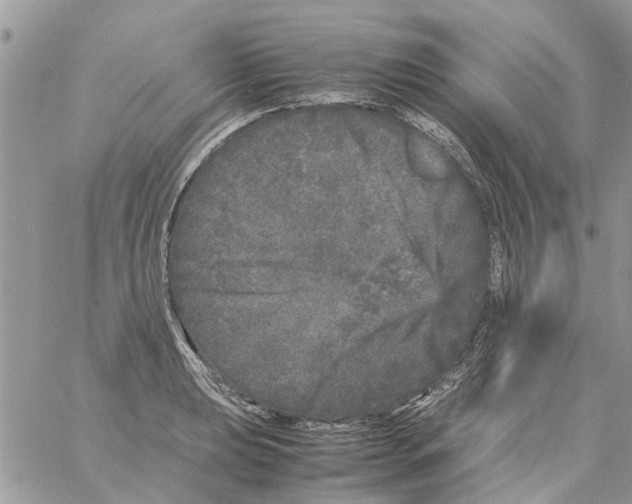 X0000061761039200512302258