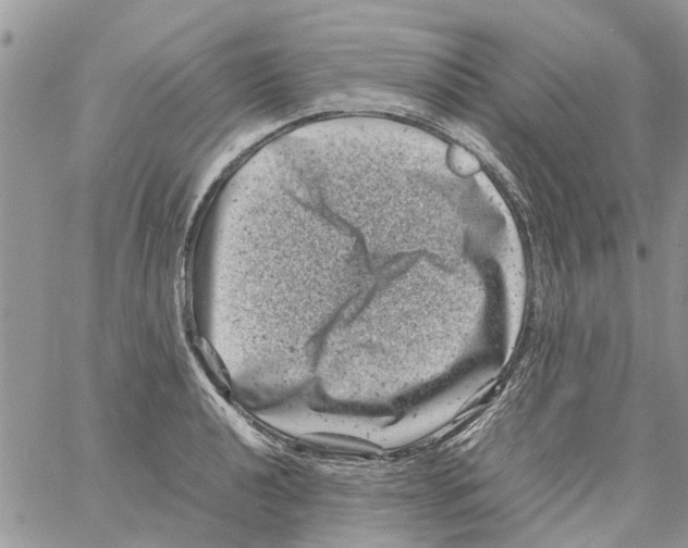 X0000061761040200512302258