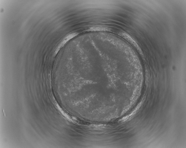 X0000061761041200512302258