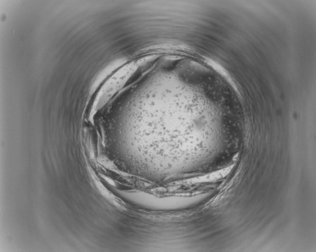 X0000061761042200512302258