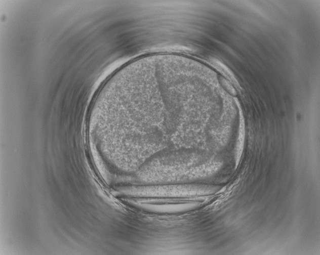 X0000061761044200512302258