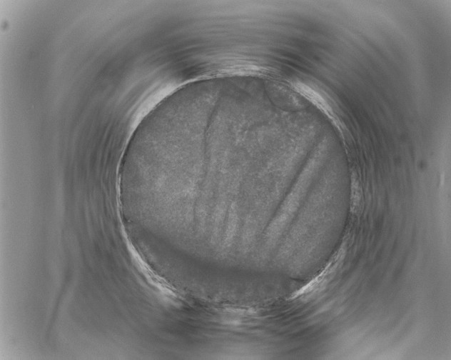 X0000061761047200512302258