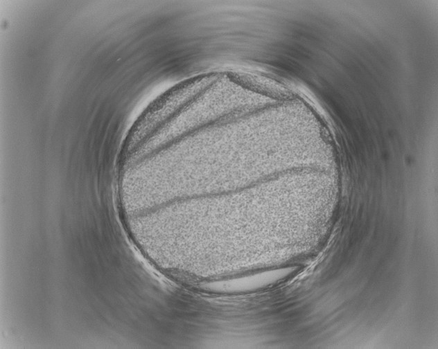 X0000061761048200512302258