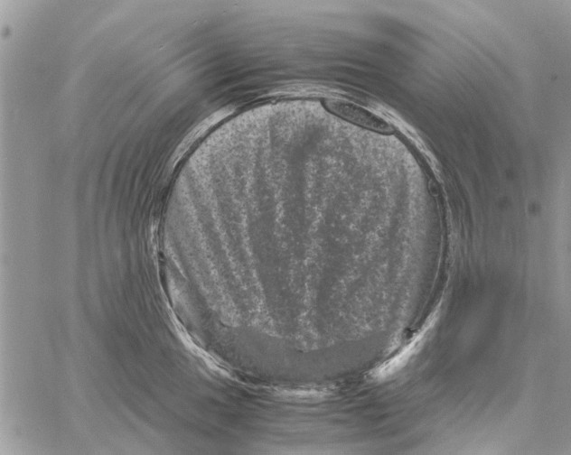 X0000061761049200512302258