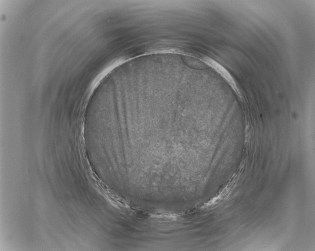 X0000061761051200512302258