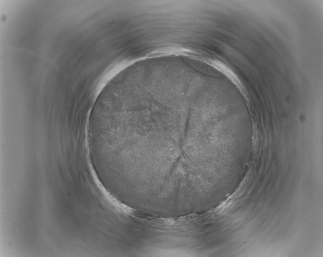 X0000061761055200512302258