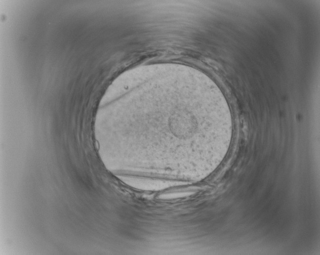 X0000061761057200512302258