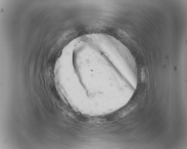 X0000061761059200512302258