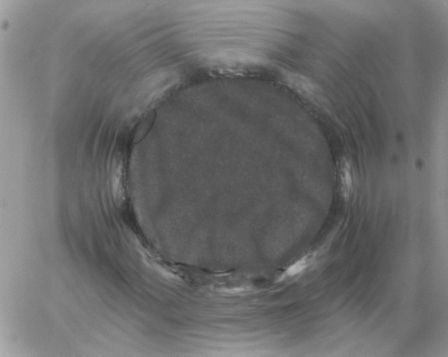 X0000061761060200512302258