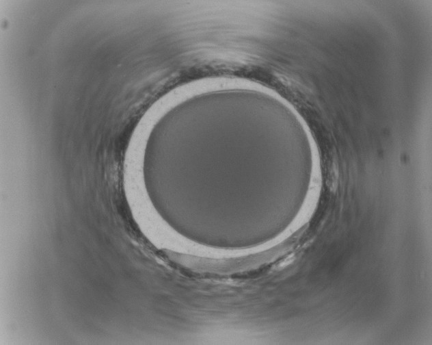 X0000061761061200512302258