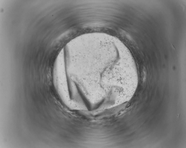 X0000061761062200512302258