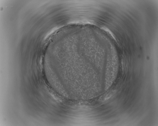 X0000061761064200512302258