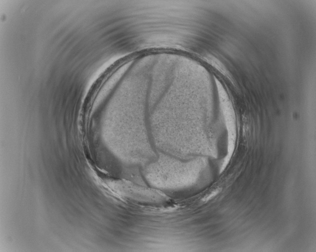 X0000061761068200512302257