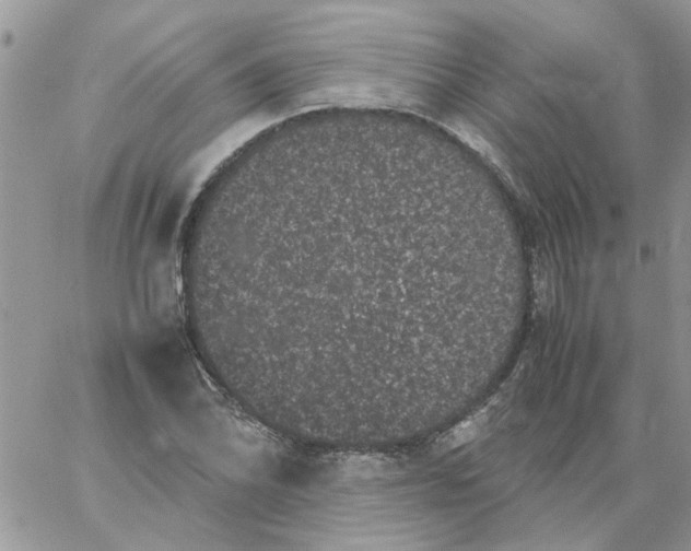 X0000061761070200512302257