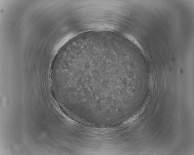 X0000061761071200512302257