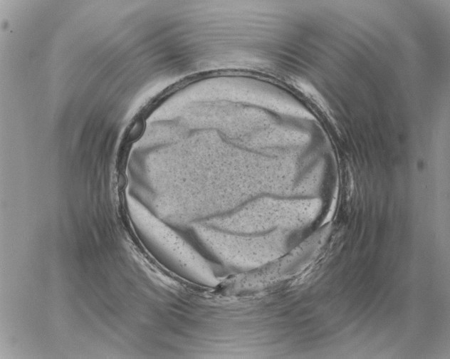 X0000061761072200512302257