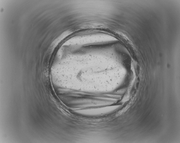 X0000061761073200512302257