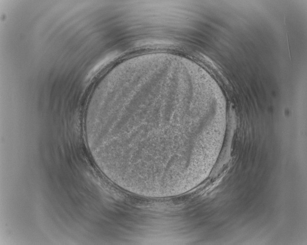 X0000061761074200512302257