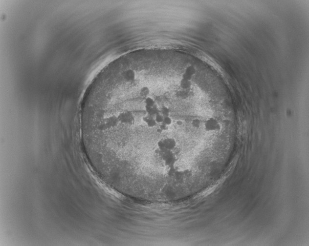 X0000061761075200512302257