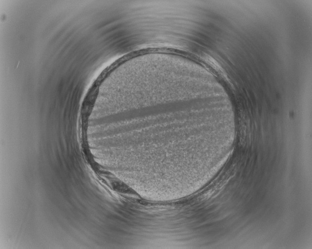 X0000061761076200512302257