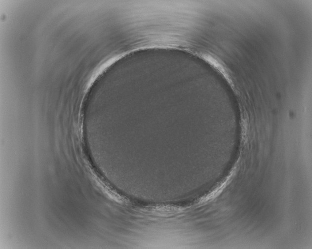 X0000061761077200512302257